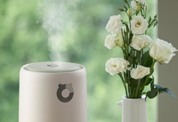 冬季家居，加濕器選購指南